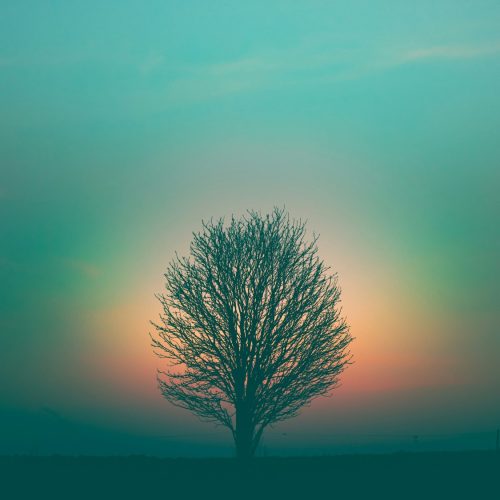 The Holy Spirit: The Helper Who Ensures We Finish Well